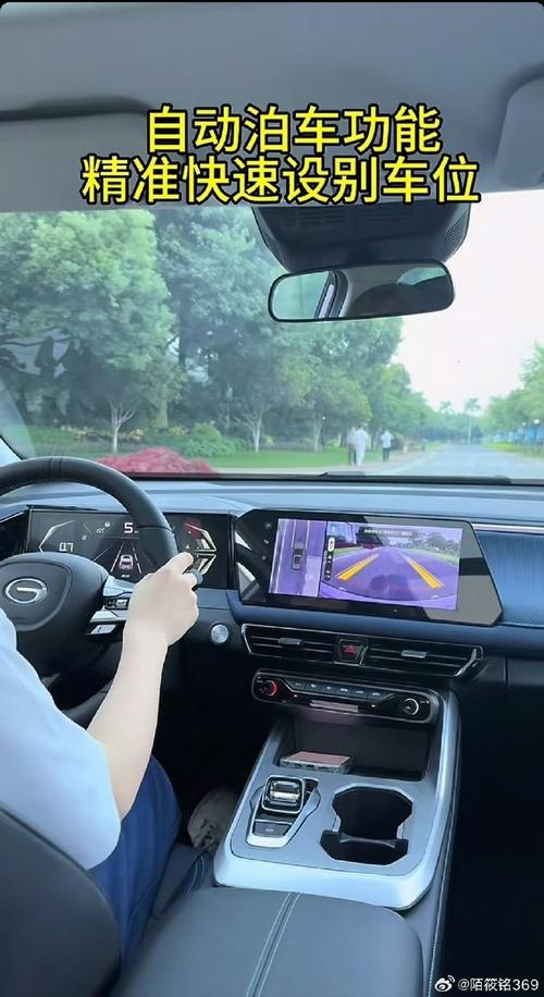 泊车,泊车读pa还是bo