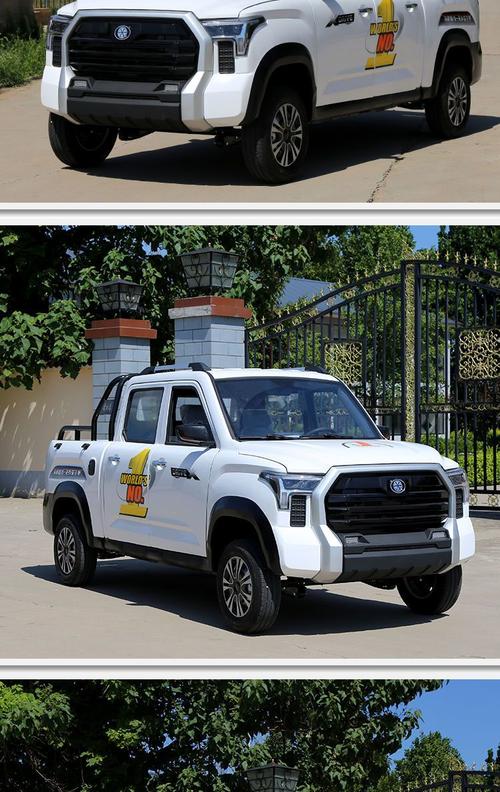 2万一3万电动皮卡,电动皮卡车2万以下油电两用