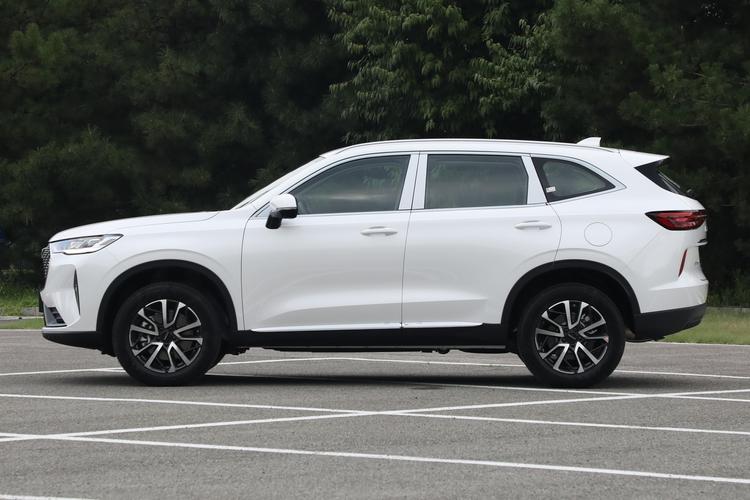 【长城h6混动版价格多少,长城dht混动车型新h6】