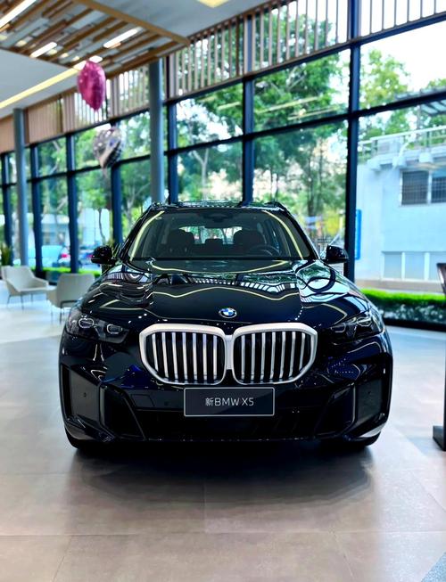 宝马x5新能源汽车报价 宝马x5新能源汽车报价及图片价格