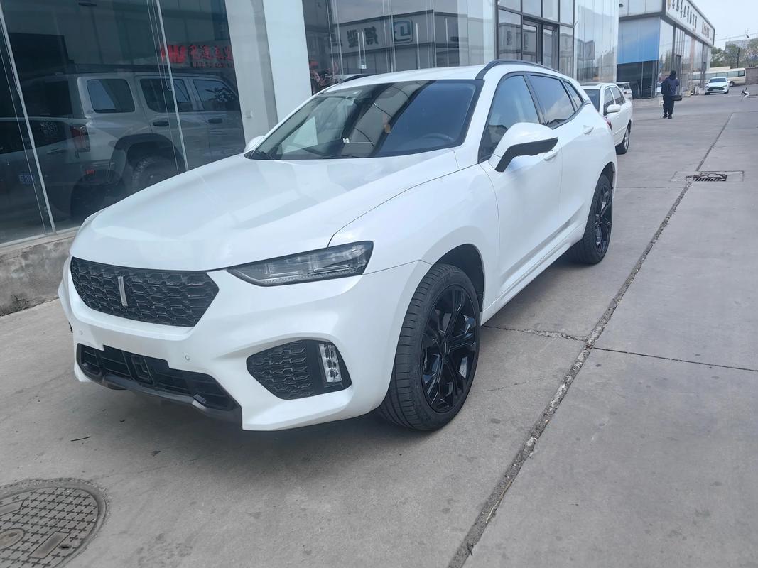 【weyvv7汽车价格,weyvv7s报价及图片】