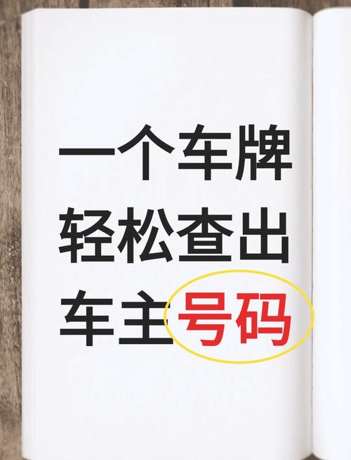 免费车牌号查询车主姓名系统,免费查询车牌号码车主查询
