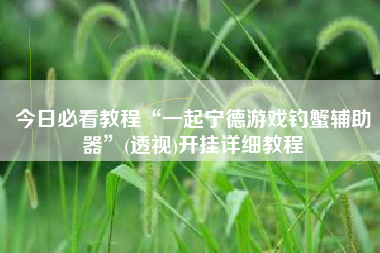 今日必看教程“一起宁德游戏钓蟹辅助器”(透视)开挂详细教程