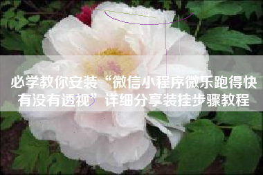 必学教你安装“微信小程序微乐跑得快有没有透视”详细分享装挂步骤教程