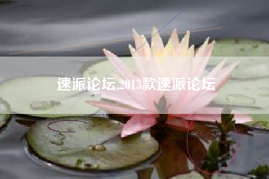 速派论坛,2013款速派论坛