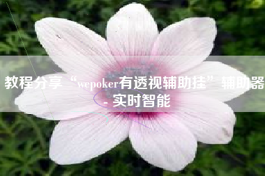 教程分享“wepoker有透视辅助挂”辅助器 - 实时智能