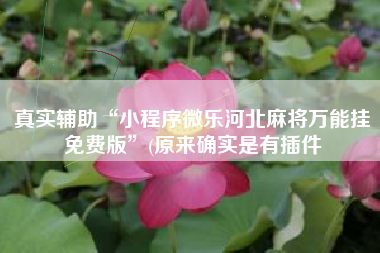 真实辅助“小程序微乐河北麻将万能挂免费版	”(原来确实是有插件