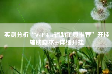实测分析“WePoker辅助工具推荐	”开挂辅助脚本+详细开挂