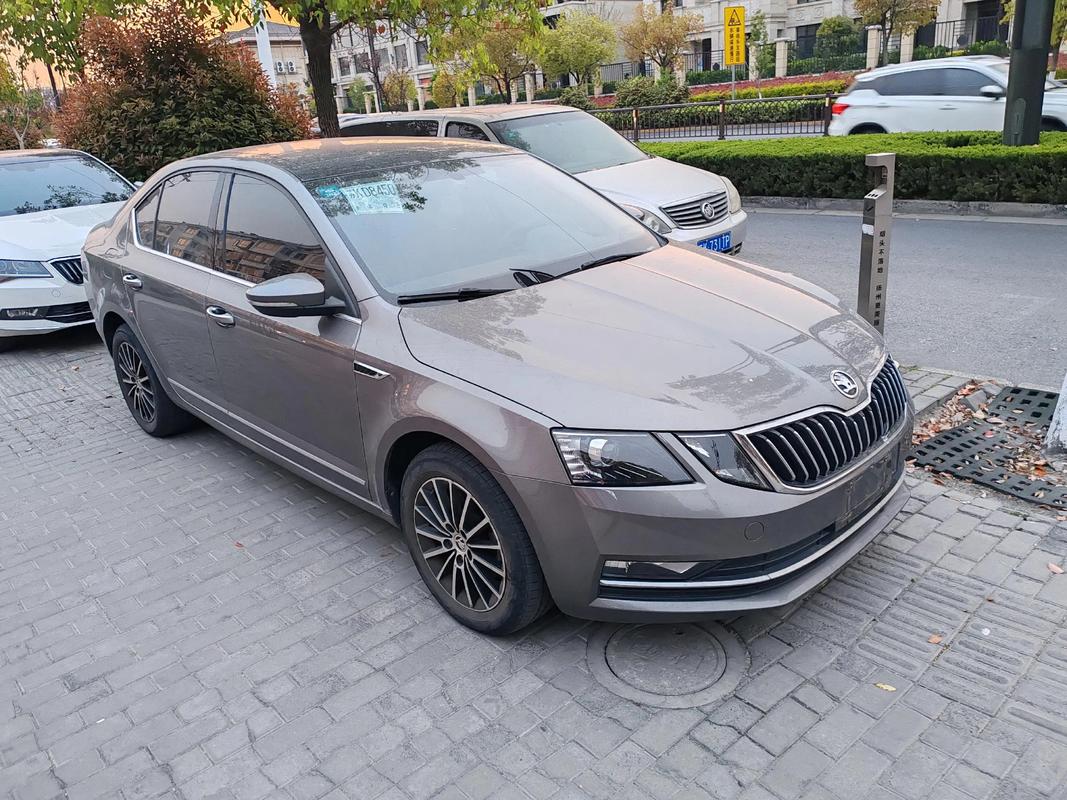 全新斯柯达明锐2020款,斯柯达明锐2020款12T