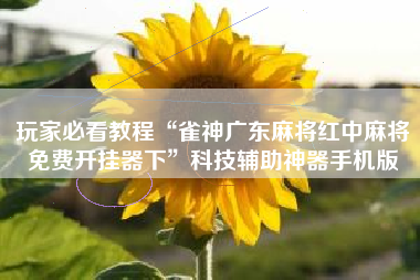 玩家必看教程“雀神广东麻将红中麻将免费开挂器下”科技辅助神器手机版