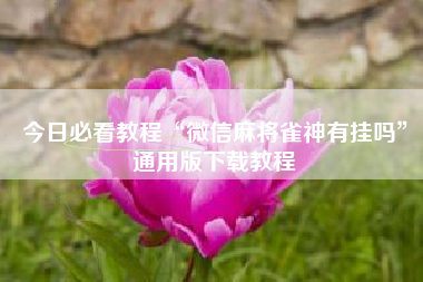 今日必看教程“微信麻将雀神有挂吗”通用版下载教程