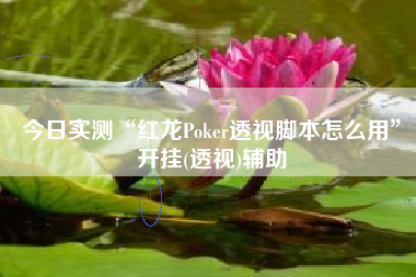 今日实测“红龙Poker透视脚本怎么用”开挂(透视)辅助