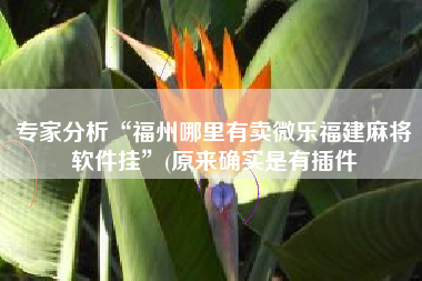 专家分析“福州哪里有卖微乐福建麻将软件挂	”(原来确实是有插件