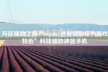 开挂辅助工具“wepoker透视辅助挂的游戏特色”科技辅助神器手机