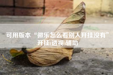 可用版本“微乐怎么看别人开挂没有”开挂(透视)辅助