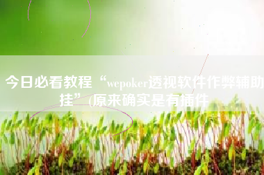 今日必看教程“wepoker透视软件作弊辅助挂	”(原来确实是有插件