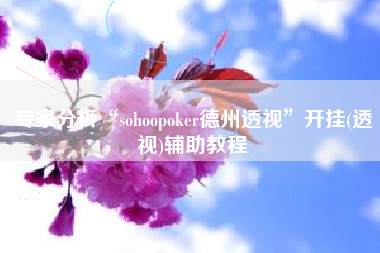 专家分析“sohoopoker德州透视”开挂(透视)辅助教程