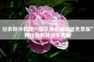 安装程序教程“微乐保皇辅助器免费版”科技辅助神器手机版