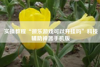 实操教程“微乐游戏可以开挂吗”科技辅助神器手机版