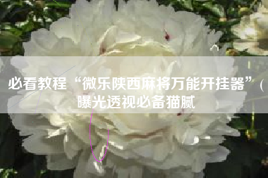 必看教程“微乐陕西麻将万能开挂器	”(曝光透视必备猫腻