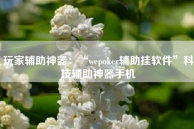 玩家辅助神器：“wepoker辅助挂软件”科技辅助神器手机