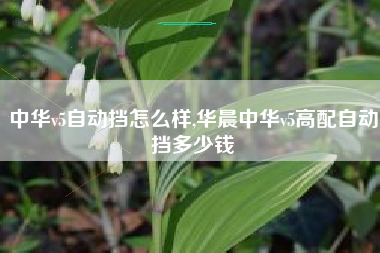中华v5自动挡怎么样,华晨中华v5高配自动挡多少钱
