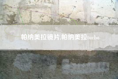 帕纳美拉镜片,帕纳美拉turbo